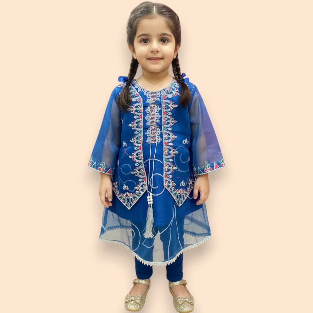 Blue Embroidered Frock Set