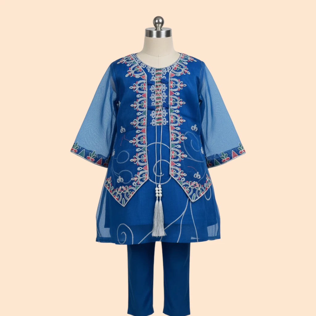 Blue Embroidered Frock Set