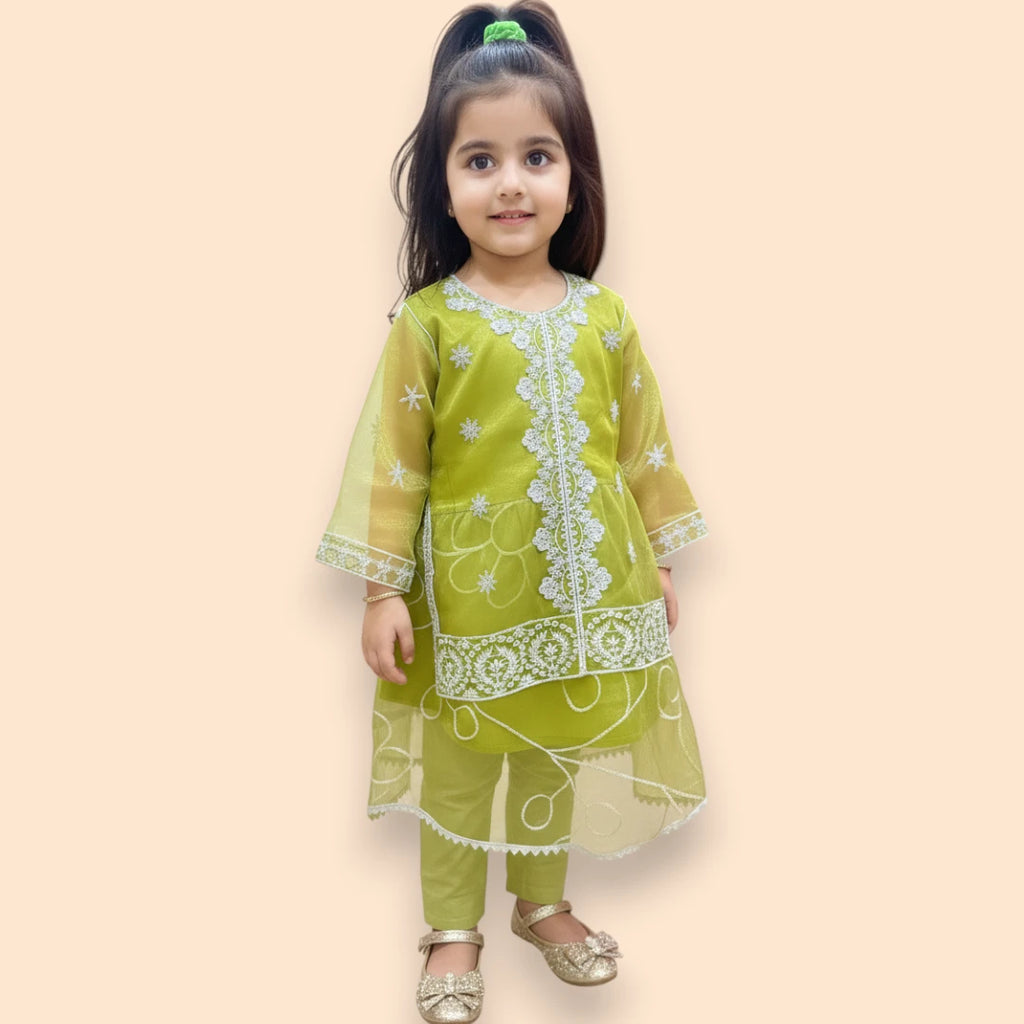 Green Embroidered Fancy Frock