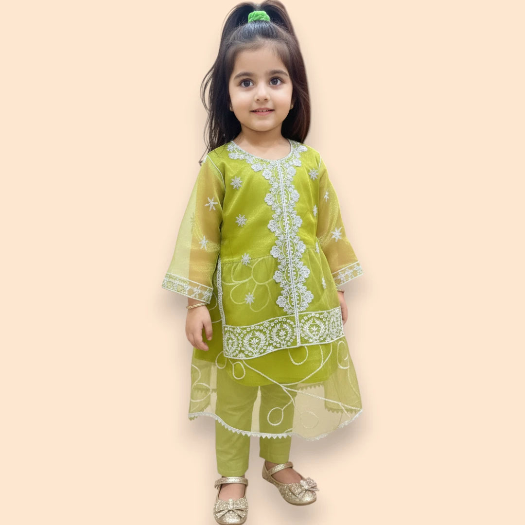 Green Embroidered Fancy Frock